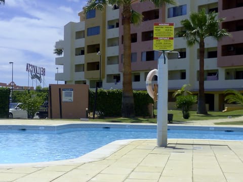 Garden, Pool view, Swimming pool