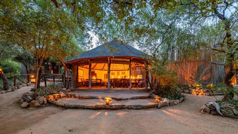 Umlani Bushcamp Natur-Lodge in South Africa
