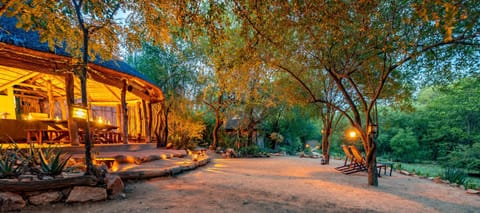 Umlani Bushcamp Lodge nature in South Africa