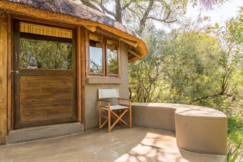 Umlani Bushcamp Lodge nature in South Africa