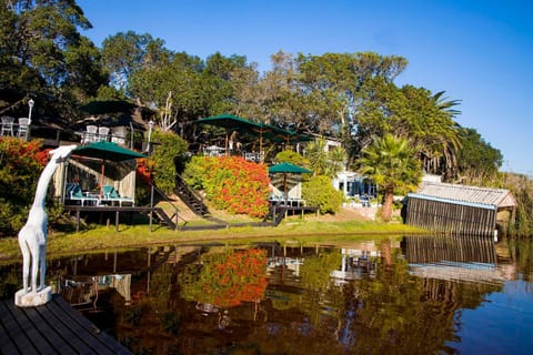 Day, Natural landscape, Garden, River view