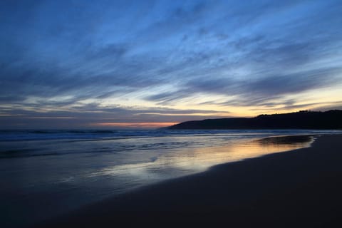 Natural landscape, Beach, Sunset