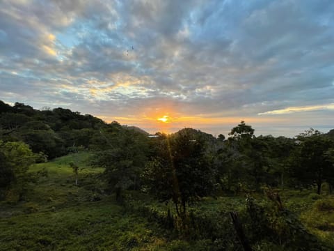 Pura Natura Lodge Manuel Antonio Nature lodge in Quepos