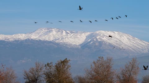 Natural landscape