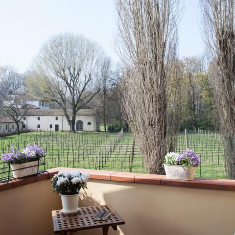 Balcony/Terrace, Garden view