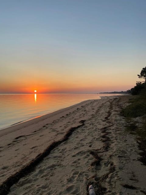 Natural landscape, Beach, Sunrise