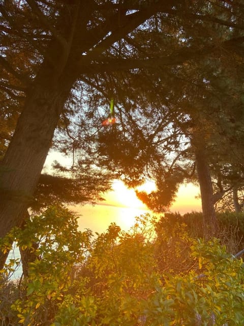 Natural landscape, River view, Sunrise