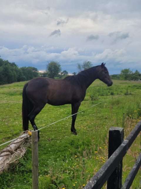 Connollys Holiday Home Doohamlet Castleblayney House in Northern Ireland