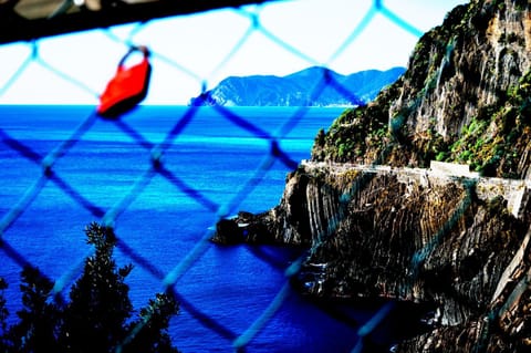 Nearby landmark, Natural landscape