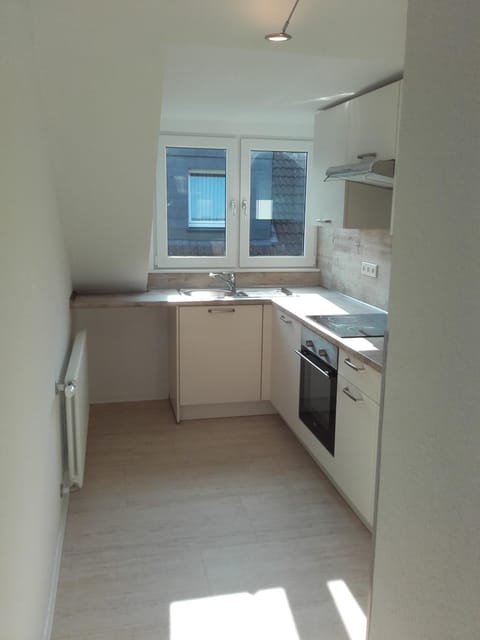 Kitchen or kitchenette, Photo of the whole room, Decorative detail, Decorative detail