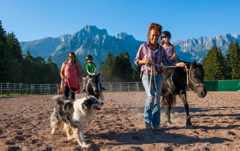 Horse-riding, Mountain view, young children, older children, Family