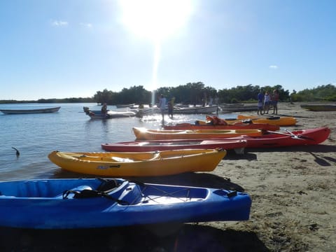 Natural landscape, Activities, River view