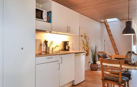 Amazing Studio In Hvide Sande With Kitchen Apartment in Hvide Sande