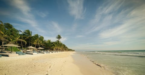 Be Tulum Beach & Spa Resort Hotel in State of Quintana Roo