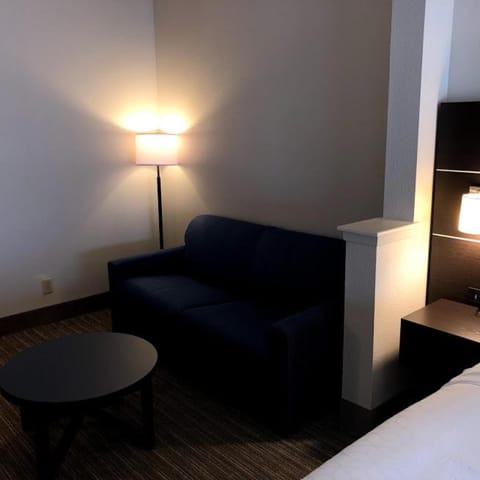 Holiday Inn Express Hotel & Suites Decatur, TX, an IHG Hotel Hôtel in Decatur
