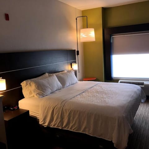 Holiday Inn Express Hotel & Suites Decatur, TX, an IHG Hotel Hôtel in Decatur