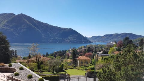 Lake view