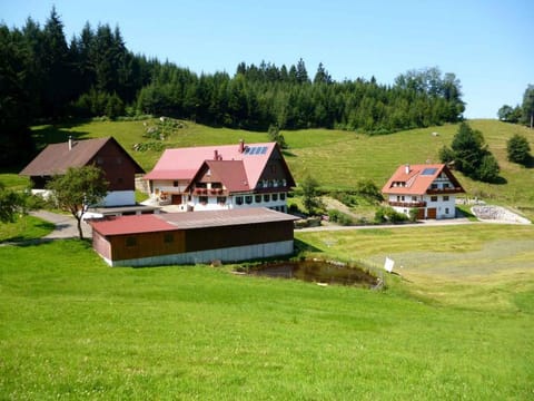 Property building, Neighbourhood, Bird's eye view