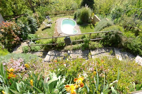 Garden, Swimming pool, Swimming pool