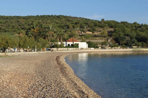 Seaside holiday house Vis - 8902 Maison in Vis