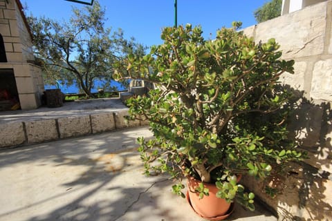 Location, children, Family