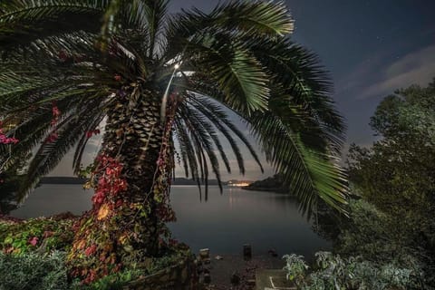 Location, children, Family