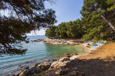 Apartments by the sea Nerezine, Losinj - 2516 Condo in Nerezine