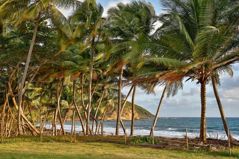 Maison d'Ô Baie de Saint-Jacques, sur une plage sauvage House in Martinique