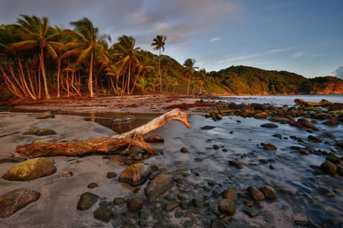 Natural landscape, Beach, Sunrise