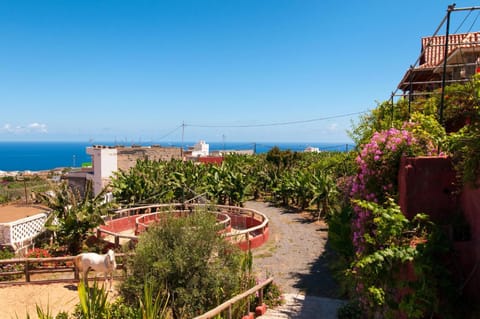 Garden view, Sea view