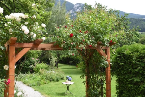 Garden, Garden, Mountain view