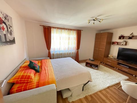 Apartment Cristian Condominio in Timisoara