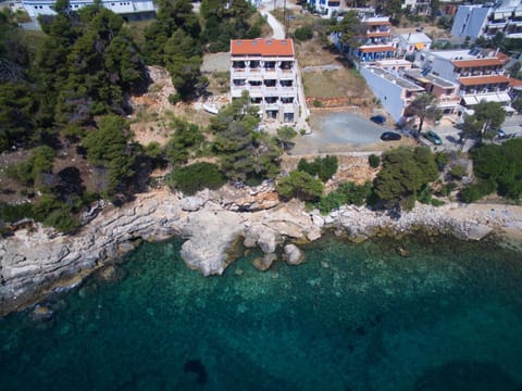 Bird's eye view, Beach, On site, Sea view