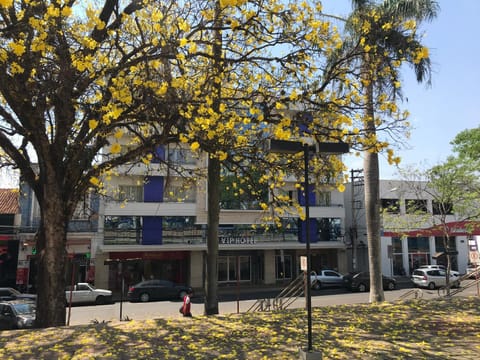 Property building, Facade/entrance, Garden, Street view