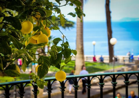 Grand Hotel La Favorita Hotel in Sorrento