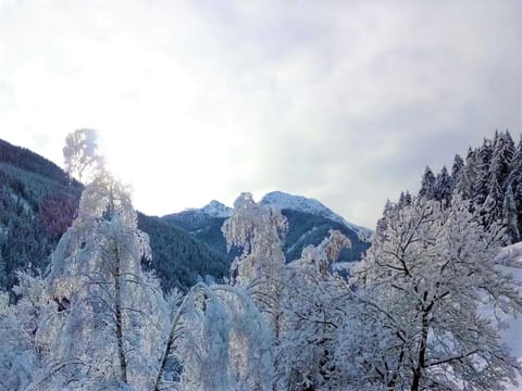 Natural landscape, Winter, Mountain view