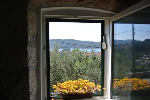 View (from property/room), Area and facilities