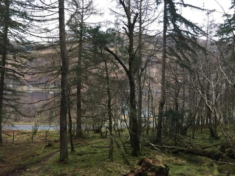 The Boathouse Casa in Scotland