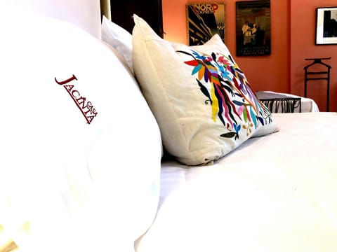 Casa Jacinta Guest House Bed and Breakfast in Mexico City