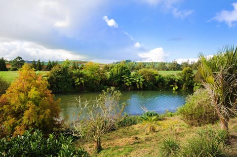 Beaver Farm House House in Waikato