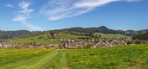 Haus Irmgard Apartment in Ortenau