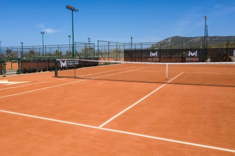 Tennis court