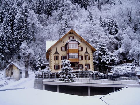Property building, Skiing, Mountain view