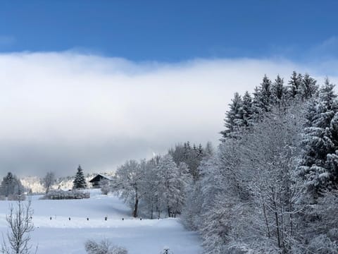 Casa del Cirmolo - apartments for rent Country House in Trentino-South Tyrol