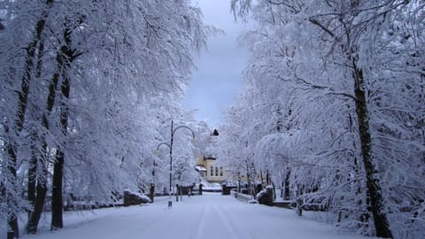 Property building, Winter, Other