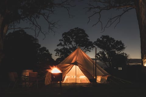 Coonawarra Bush Holiday Park Camping /
Complejo de autocaravanas in South Australia