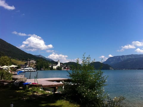 Garden, Beach, Lake view