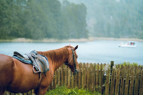 Horse-riding