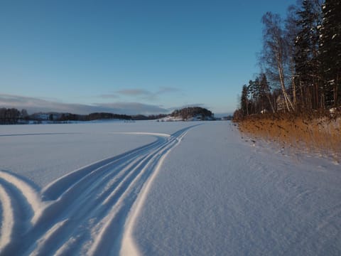 Natural landscape