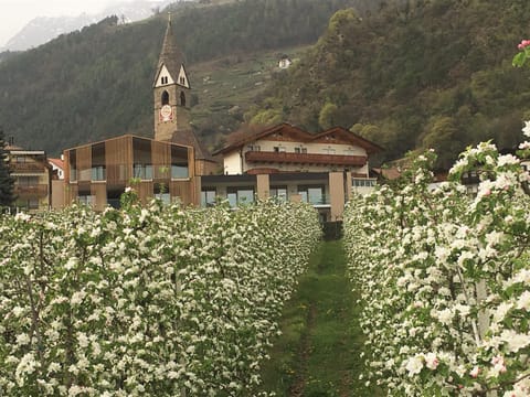 Panorama Residence Öhlerhof Apartment hotel in Algund